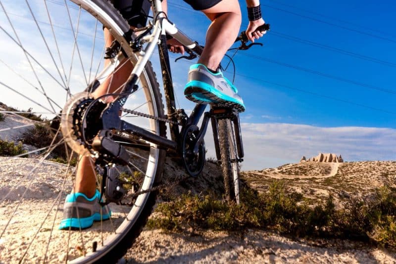 Bicicleta