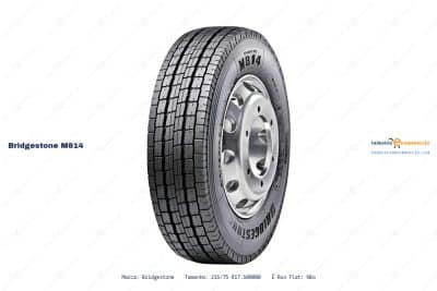 Ficha técnica Bridgestone m814