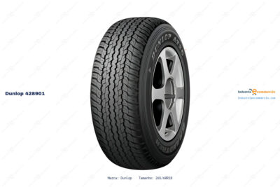 Ficha técnica Dunlop 428901