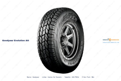Ficha técnica Goodyear evolution att