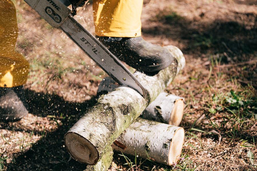 br 43 26 0823 interna Imagen de Motosserra STIHL MS 170: vantagens, preço e principais diferenças